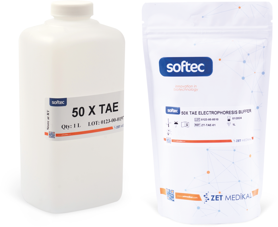 50x TAE Electrophoresis Solution 